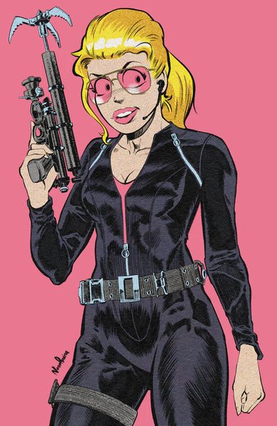 ARCHIE COMICS POP ART VARIANT COVER COLLECTION - 25 ISSUES