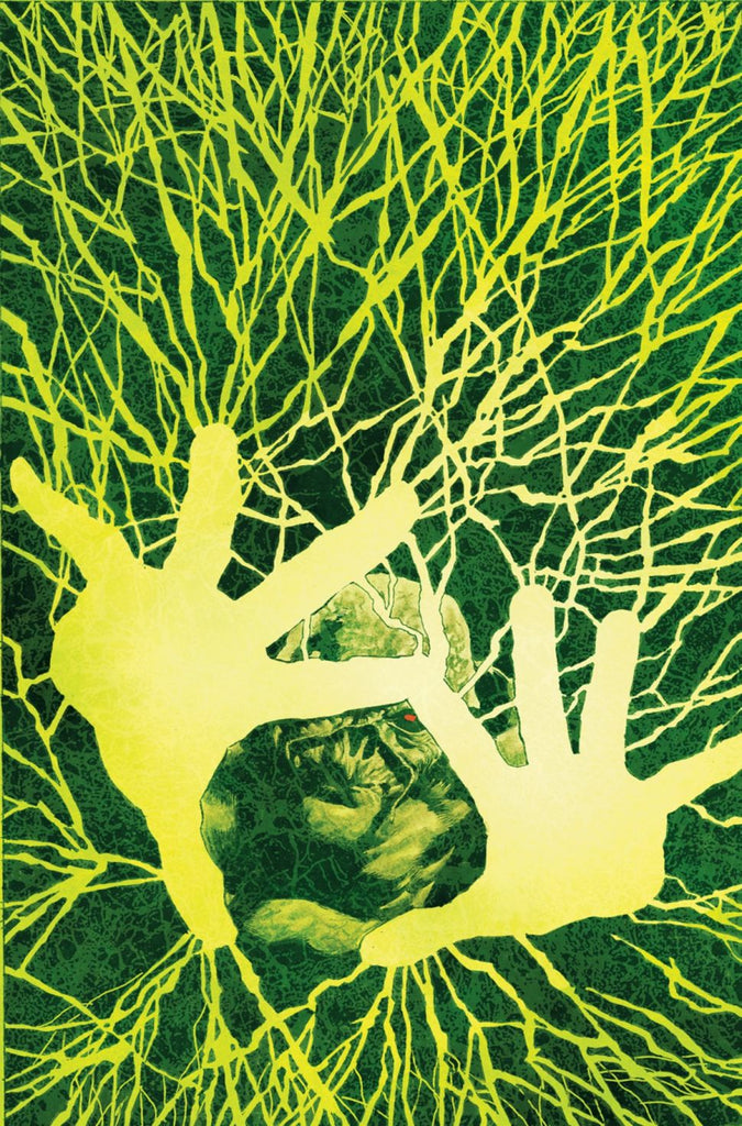 SWAMP THING #13 PRE-ORDER