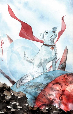 KRYPTO THE LAST DOG OF KRYPTON #1 CVR B DUSTIN NGUYEN VARIANT