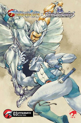 THUNDERCATS X SILVERHAWKS #3 CVR D CHUMA HILL VARIANT