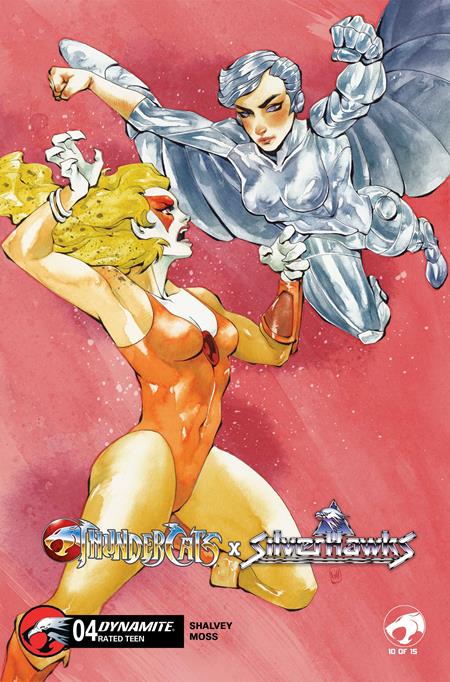 THUNDERCATS X SILVERHAWKS #4 CVR D CHUMA HILL VARIANT