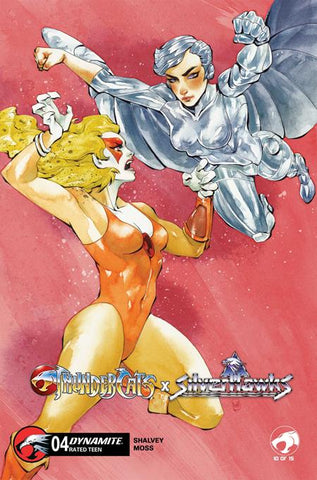 THUNDERCATS X SILVERHAWKS #4 CVR D CHUMA HILL VARIANT
