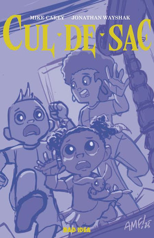 CUL DE SAC #1 (OF 4) CVR B TONY FLEECS CURSED MIRROR VARIANT
