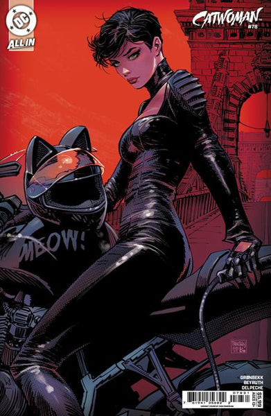 DAN PANOSIAN - CATWOMAN VARIANT COVER COLLECTION - 4 ISSUES
