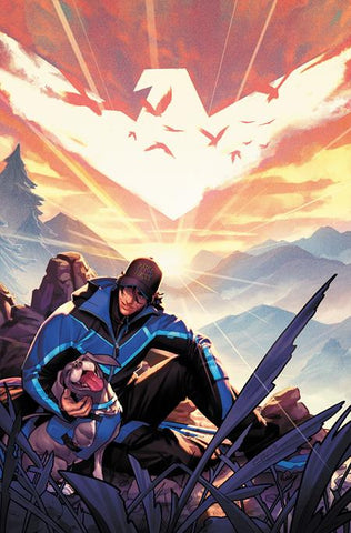 NIGHTWING #118 CVR B JAMAL CAMPBELL VARIANT