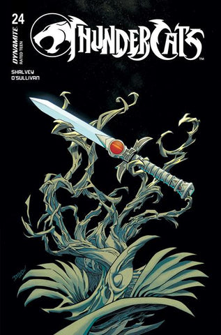 THUNDERCATS #24 CVR B DECLAN SHALVEY VARIANT