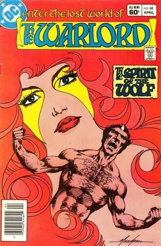 THE WARLORD 1980'S COMIC LOT - 17 ISSUES - MID GRADE