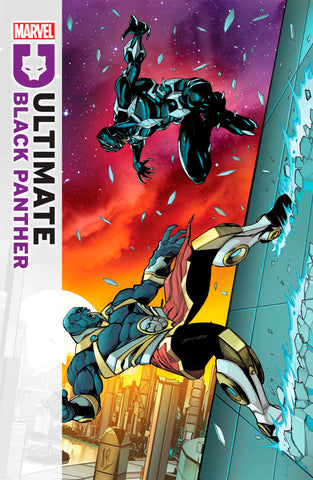 ULTIMATE BLACK PANTHER #14 COVER A