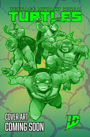 Teenage Mutant Ninja Turtles #11 Variant D Rodríguez