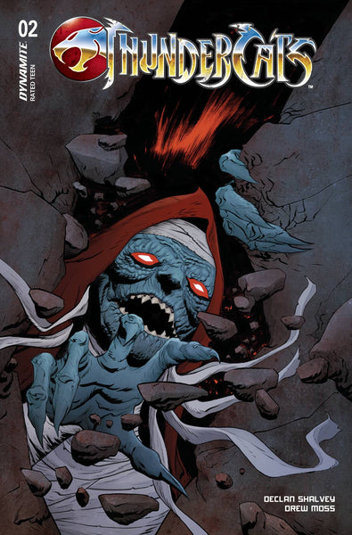 THUNDERCATS #2 PRE-ORDER