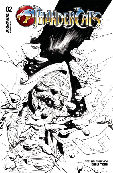 THUNDERCATS #2 PRE-ORDER