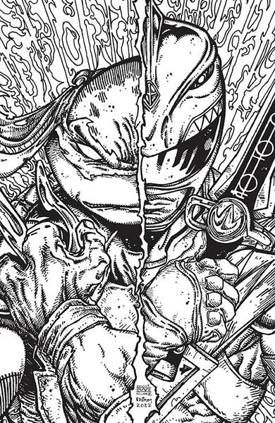 POWER RANGERS NINJA TURTLES II #3 PRE-ORDER